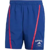 Adidas Sportbyxa 'Designed Fot Training Legacy' gentiana / grenadine / vit