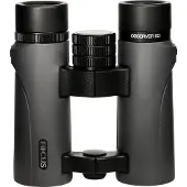 Focus Observer 8x34 Ed Kikare