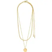 Pilgrim Halsband 'Declan' guld