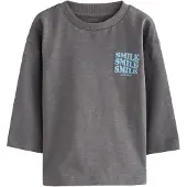 Next T-shirt pastellblå / mörkgrå