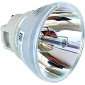 Optoma HD29x kompatibel lampa utan modul