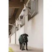 Diego & Louna Teddy Nylon Hundjacka