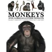 Monkeys