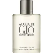 Giorgio Armani Acqua di Giò Homme After Shave After shave lotion 100 ml