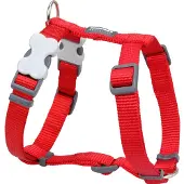 Red Dingo Smooth Hundsele