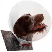 Buster K273396 Elizabethan Hundhalsband 10 Enheter