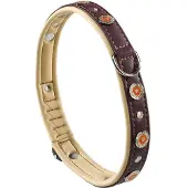 Ferplast Circus 20 Mm 44 Cm Hundhalsband