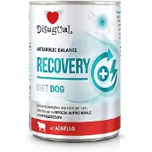 Disugual Recovery Diet Lamm 6x400g Våtfoder Hund