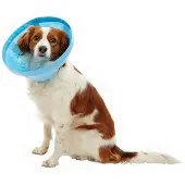 Kruuse Soft Flex Elizabethan 25 Cm Hundhalsband 5 Enheter