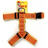 Cat´s Catalunya Hundsele