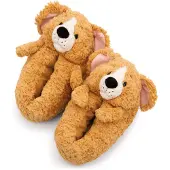 Nici Homies Tofflor