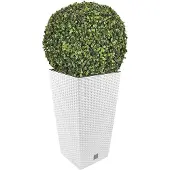 Wellhome Rato 55l S Set Blomkruka 2 Enheter