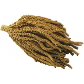 Bradium Enheter Panizo-hirs På Gren Franska 15 Kg