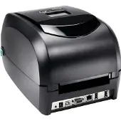 Godex RT730i Pro - Storformatsskrivare - svartvit - 300 dpi