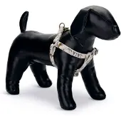 Designed By Lotte Oribo Hundsele