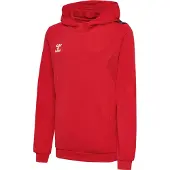 Hummel Authentic Pl Tröja Med Huva