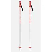 Rossignol Hero Juniorstavar