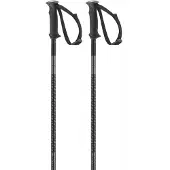 Salomon Polar Stavar