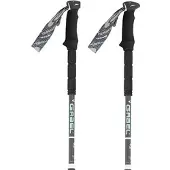 Gabel Escape Carbon Tour Lite Stavar