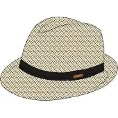 Protest Hatt