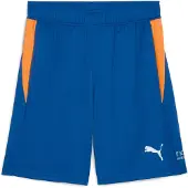 Puma Individual Training Shorts