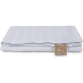 Borg Livinig Silkesommartäcke - Temperaturreglerande - 100% mulberrysilke - 70x100 cm -