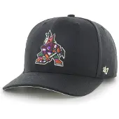 47 Nhl Arizona Coyotes Cold Zone Mvp Dp Keps