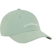 Dickies Wilsall Keps