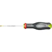 Facom Skruvmejsel ATXRP30X125; T30; 125 mm; stjärnformad spets