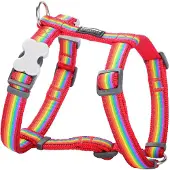 Big Buy Cooking Rainbow Hundsele