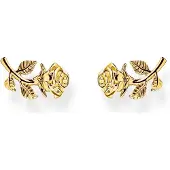 Thomas Sabo True Romance gold-plated örhängen med ros H2314-413-39