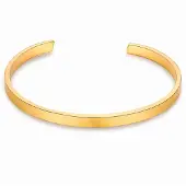 True Rebels Armband guldgul