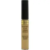Max Factor Facefinity All Day Flawless Concealer 40 7,8 ml