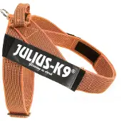 JULIUS K-9 Idc Norwegian Hundsele