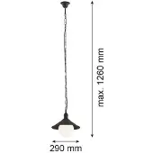 Argon Utomhushänglampa Enduro, svart, stål, glas, IP44, E27 Enduro , dimbar, Svart, Metall