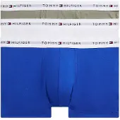 Tommy Hilfiger 3 Pack Microfibre Logo Waistband Trunks