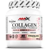Amix Viscofan 300g Kollagen Piña Colada