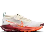 Nike Trailskor Pegasus Trail 5 GORE-TEX fq0912-104