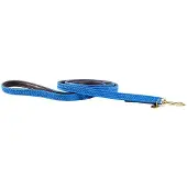 Kentucky Nylon Plaited Hundkoppel 12 Mm