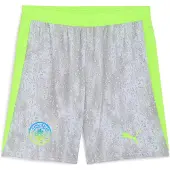 Puma Manchester City Tredjeshorts 2025/26 - , storlek Large