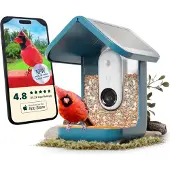 Birdbuddy Fågelmatare med kamera, Birdbuddy