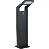 Paulmann Utomhusbelysning , Juntea, Svart, Aluminium