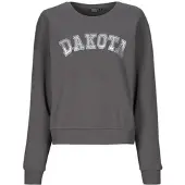 ONLY Sweatshirts ONLJOLANA kvinnor - Grå - EU S