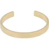 Lacoste Armband 'Adventurer' guld