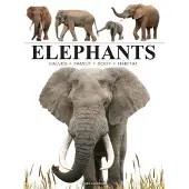 Elephants