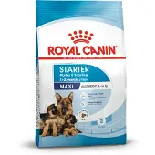 Royal Canin Maxi Starter för dräktiga tikar och valpar 15 kg