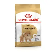 Royal Canin Pomeranian Adult 1,5 kg karma sucha dla psów dorosłych rasy szpic miniaturowy + Pomeranian Adult 12x85g karma mokra