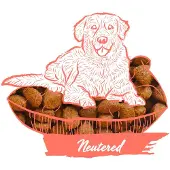 Calibra Expert Nutrition Neutered 2kg Hundmat
