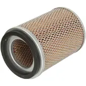 FILTRON Luftfilter AM436/1