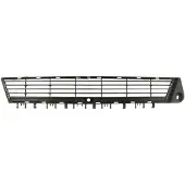 BLIC Ventilationsgaller, stötfångare 6502-07-5078995P